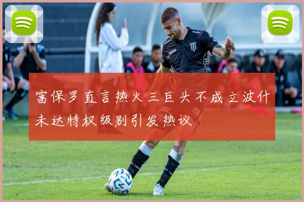 富保罗直言热火三巨头不成立波什未达特权级别引发热议