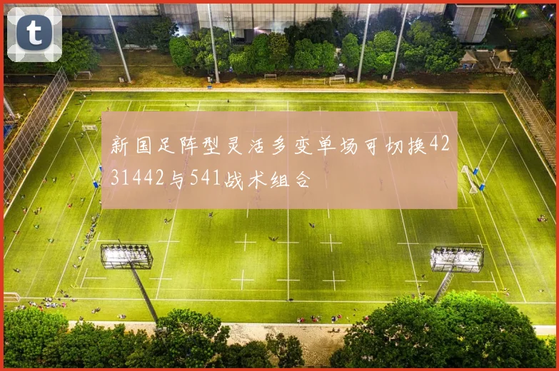 新国足阵型灵活多变单场可切换4231442与541战术组合