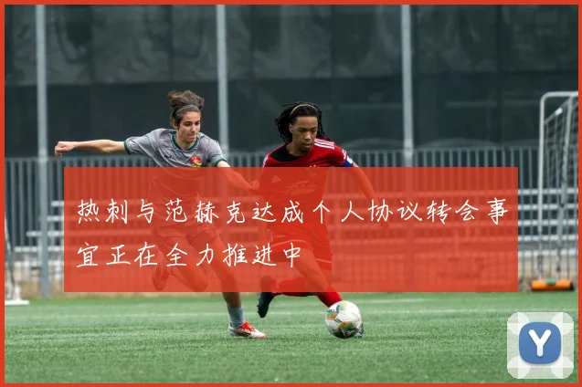 热刺与范赫克达成个人协议转会事宜正在全力推进中